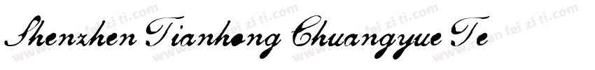 Shenzhen Tianhong Chuangyue Technol字体转换